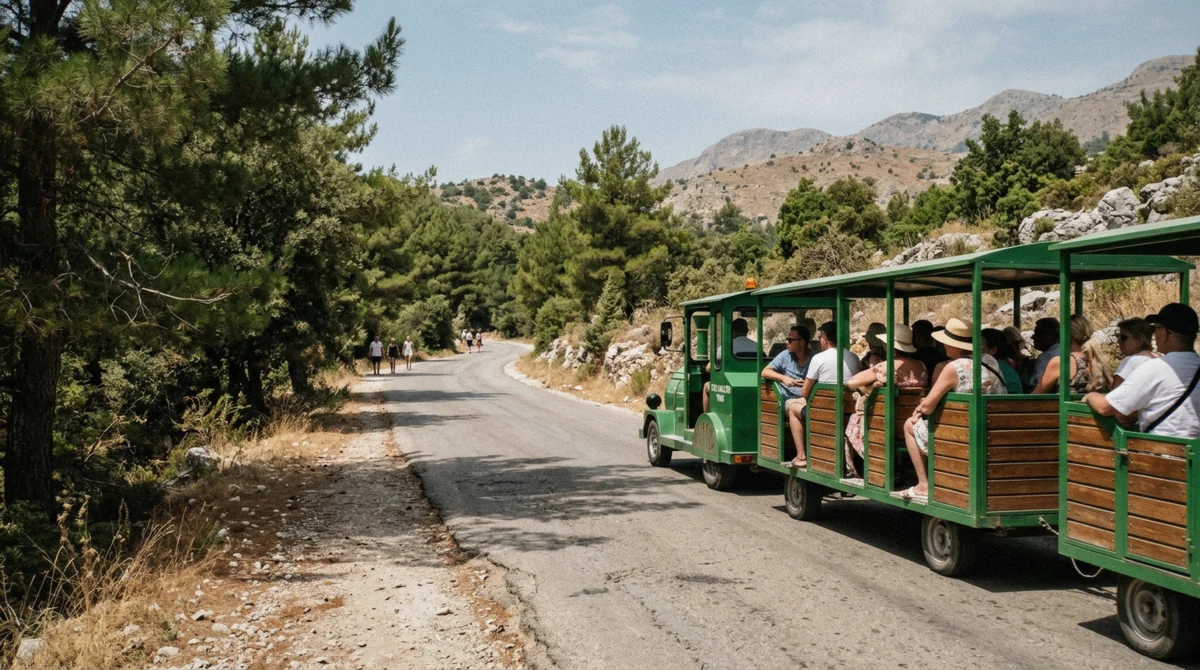The paved access road and pine shade on the walk from the car park to the Blue Eye Albania spring near Muzinë