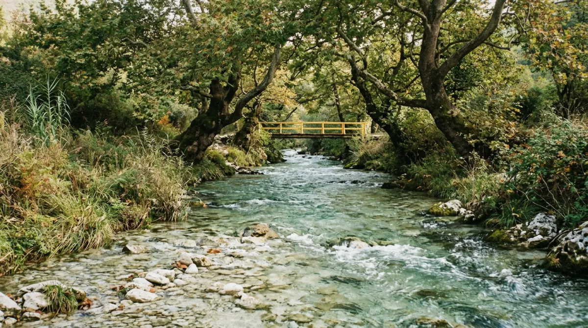 The Bistrica river running out below the Blue Eye Albania spring past overhanging plane trees near Muzinë, southern Albania